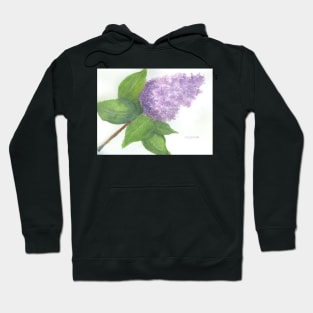 Lilac Hoodie